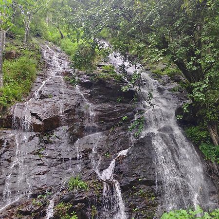 Coorg Divine Spark Home Stay Suntikoppa Kültér fotó