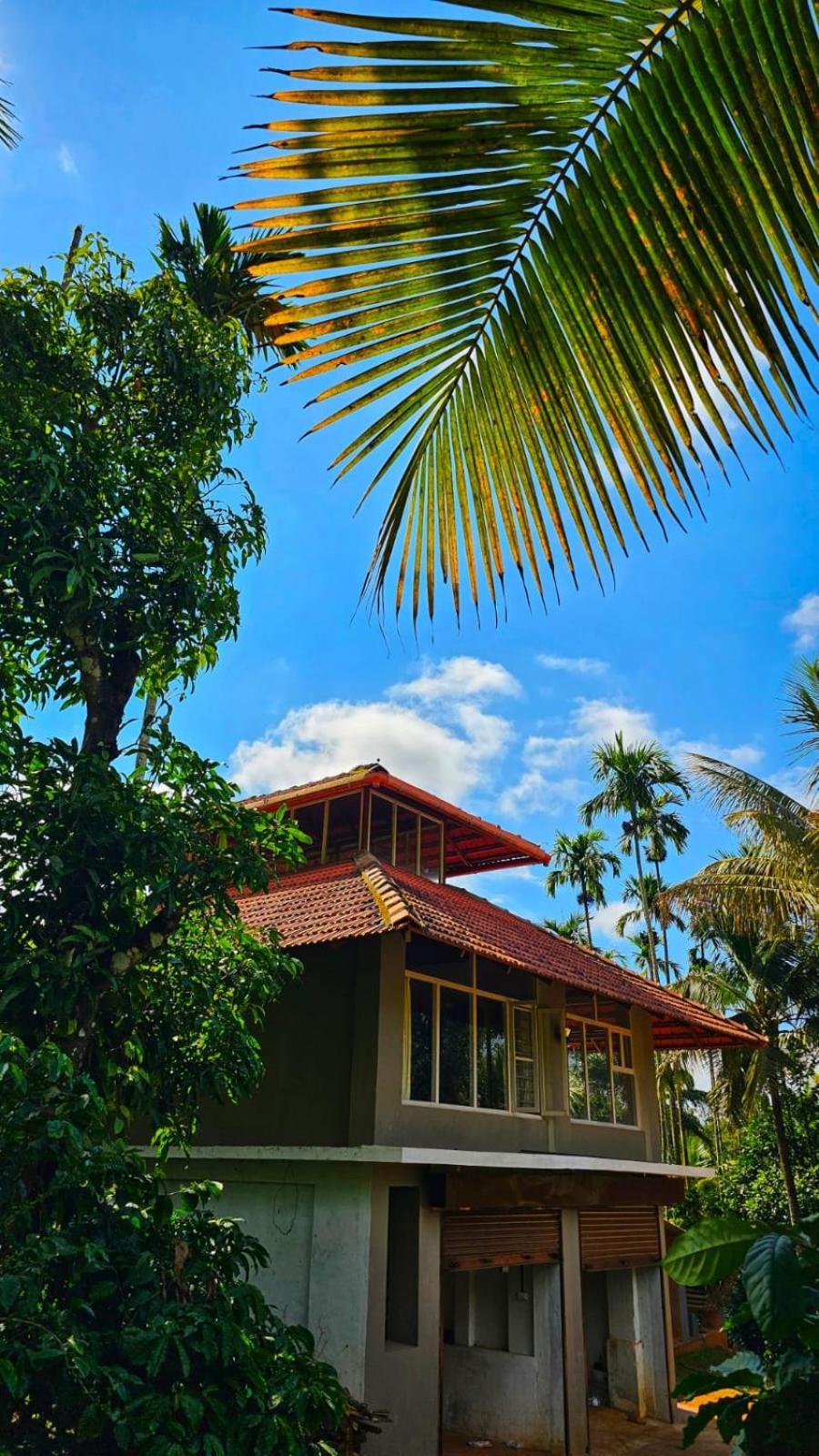 Coorg Divine Spark Home Stay Suntikoppa Kültér fotó