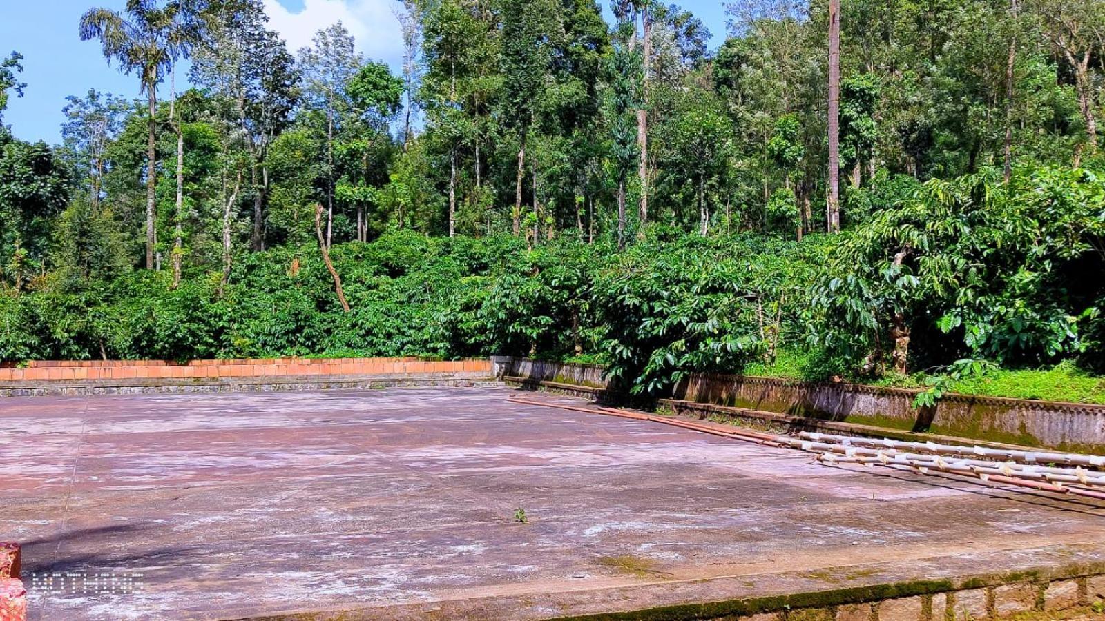 Coorg Divine Spark Home Stay Suntikoppa Kültér fotó